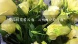 “全国鲜花看云南，云南鲜花看斗南”，斗南花市距昆明市区约18公里，是亚洲最大的鲜花交易市场，也是中国最大的花卉交易市场...,情人节期间,为了弥补云南鲜花量少价高的短板,进到质优价廉的鲜花,一些批发商纷纷向其他花卉产地投出橄榄枝...