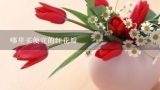 哪里买便宜的红花瓣,康乃馨代表什么花语？