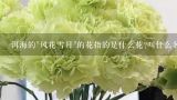 洱海的"风花雪月"的花指的是什么花?叫什么名字?大理以“风花雪月”为著名那么其中的花是指什么？