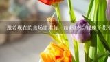 跟着现在的市场需求每一磅453克白玫瑰干花平均售价是多少钱?