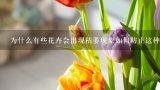 为什么有些花卉会出现枯萎现象如何防止这种情况的发生?