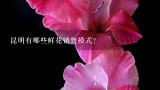 昆明有哪些鲜花销售模式?