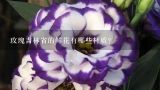 玫瑰吉林省的鲜花有哪些材质?