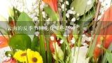 云南的反季节鲜花有哪些品种?