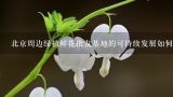 北京周边绿植鲜花批发基地的可持续发展如何?