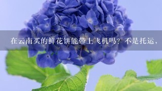 在云南买的鲜花饼能带上飞机吗？不是托运，是随身带，能过安检吗？？