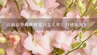 云南嘉华玫瑰鲜花饼怎么样？口感如何？