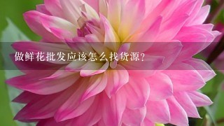 做鲜花批发应该怎么找货源？