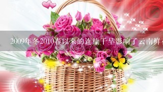 2009年冬2010春以来的连续干旱影响了云南鲜花的质量，却提高了鲜花的价格。2010年，作为冬虫夏草主产地之一的青海玉...