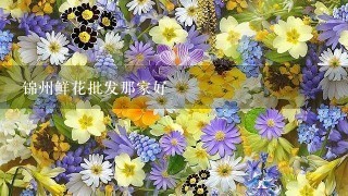 锦州鲜花批发那家好