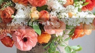 云南空运鲜花到广州多久