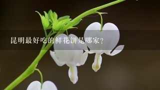 昆明最好吃的鲜花饼是哪家？