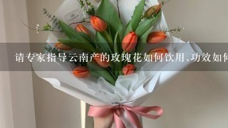 请专家指导云南产的玫瑰花如何饮用,功效如何?