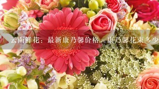 云南鲜花：最新康乃馨价格，康乃馨花束多少钱