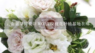 云南嘉华鲜花饼3000亩玫瑰花种植基地在哪，我在网上查了查大概在曲靖市马龙县，求具体位置，要离昆明