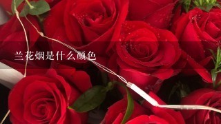 兰花烟是什么颜色