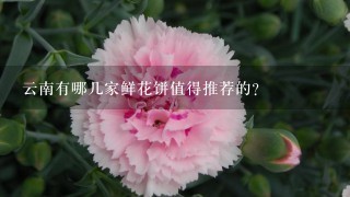 云南有哪几家鲜花饼值得推荐的？