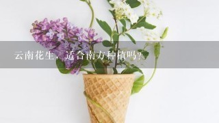 云南花生，适合南方种植吗？