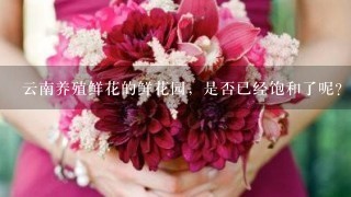 云南养殖鲜花的鲜花园，是否已经饱和了呢？