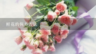 鲜花的保养方法