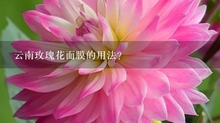 云南玫瑰花面膜的用法？