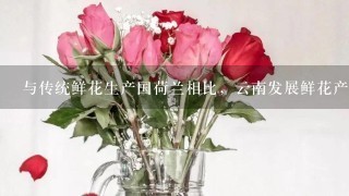 与传统鲜花生产国荷兰相比，云南发展鲜花产业最大的优势是( )