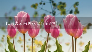 以后去云南种花卖有前途吗？