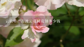 云南特产古渡云花鲜花饼多少钱