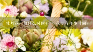 牡丹花一般什么时候开？ 花期有多少时间？