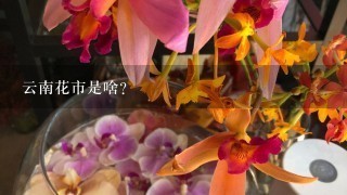 云南花市是啥？