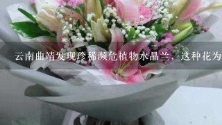 云南曲靖发现珍稀濒危植物水晶兰，这种花为何会被称