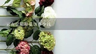 云南昆明鲜花饼多少钱