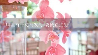 哪里有干花批发的 要便宜点的