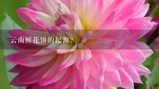 云南鲜花饼的起源？