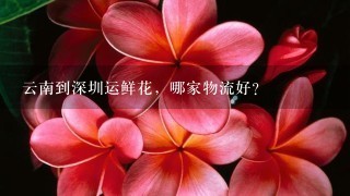 云南到深圳运鲜花，哪家物流好？