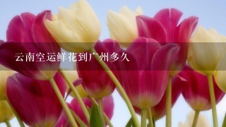 云南空运鲜花到广州多久