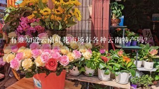 有谁知道云南鲜花市场有各种云南特产吗？