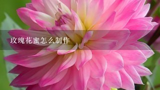 玫瑰花蜜怎么制作