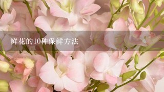 鲜花的10种保鲜方法