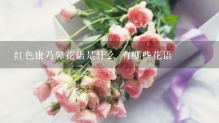 红色康乃馨花语是什么 有哪些花语