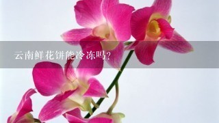 云南鲜花饼能冷冻吗?