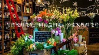 与传统鲜花生产国荷兰相比，云南发展鲜花产业最大的优势是( )