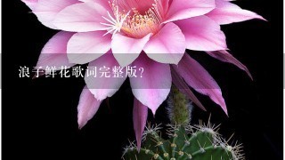 浪子鲜花歌词完整版？