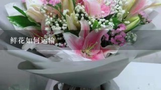 鲜花如何运输