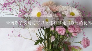 云南除了玫瑰花可以吃还有其他可以吃的花吗？