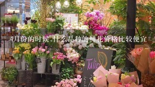 4月份的时候,什么品种的鲜花价格比较便宜