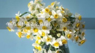 dnf花盆鲜花怎么获得