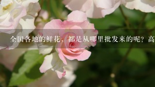 全国各地的鲜花，都是从哪里批发来的呢？高档花卉，