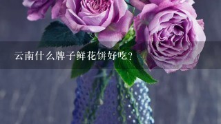 云南什么牌子鲜花饼好吃？