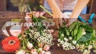 云南麦子玫瑰鲜花膏怎样